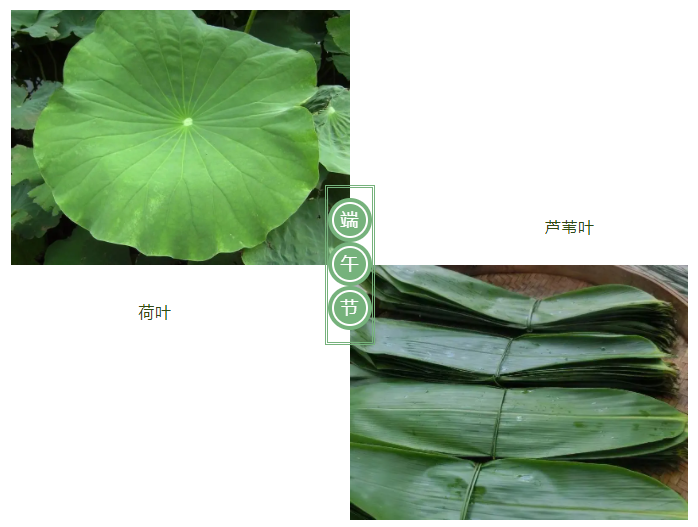 og视讯医纺