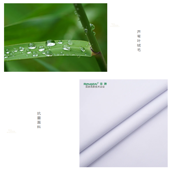 og视讯医纺